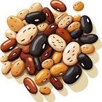 Legumes for diet