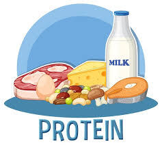 Proteins 